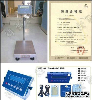 防爆电子国产麻豆成人AV色影视免费看